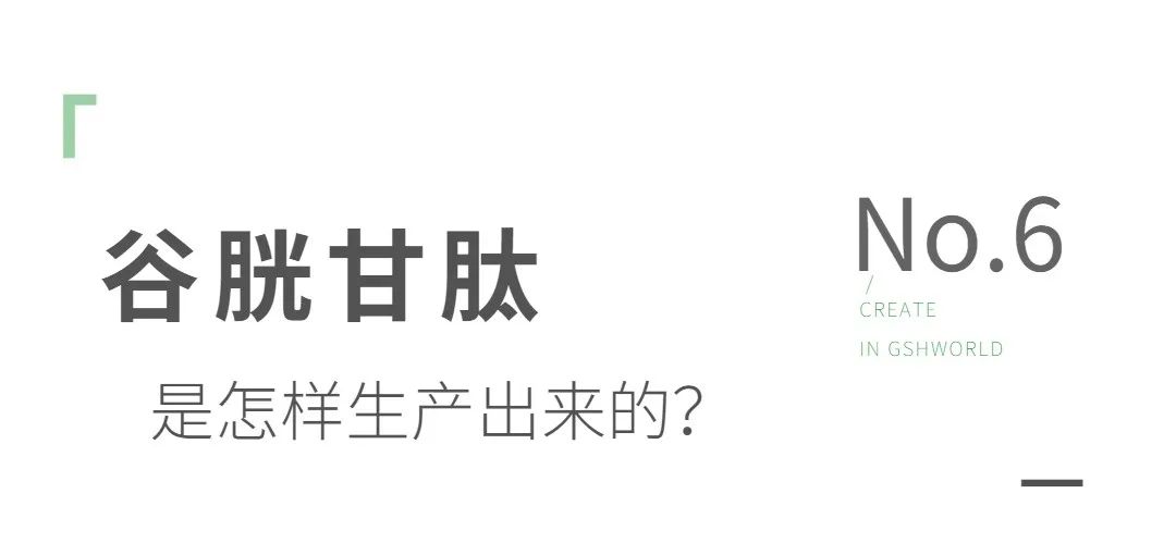 谷胱甘肽是如何生產(chǎn)的？
