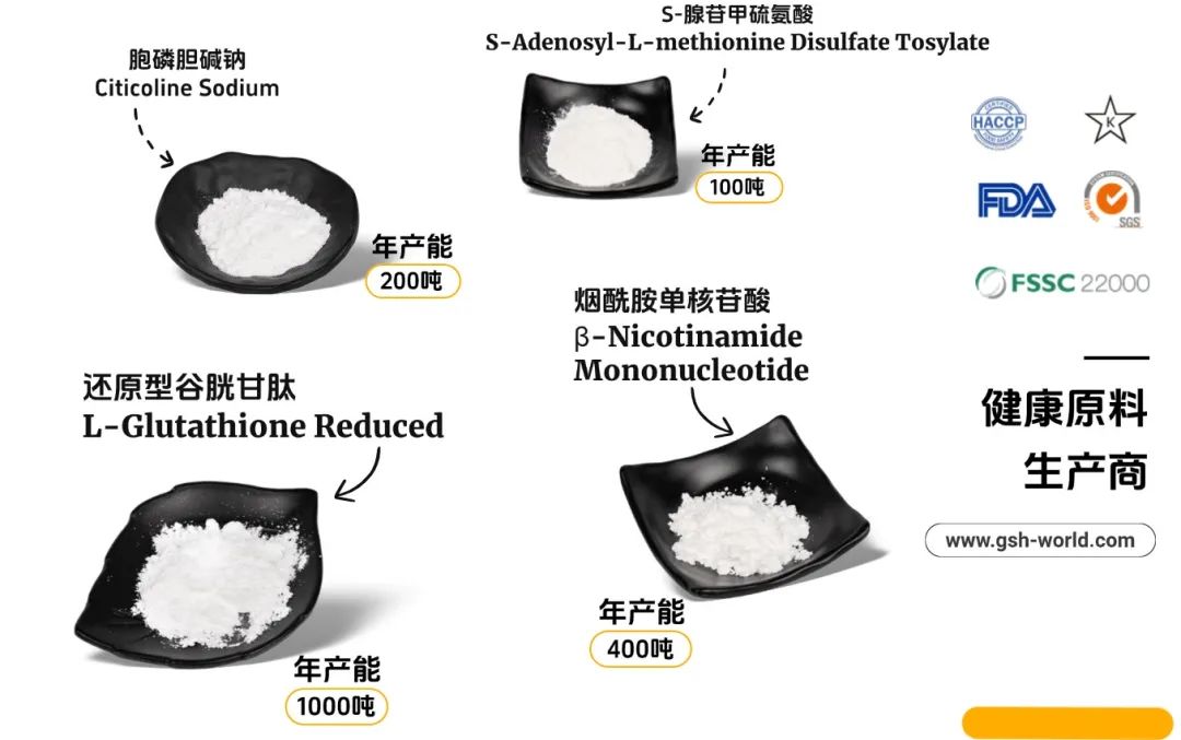 公司產品系列