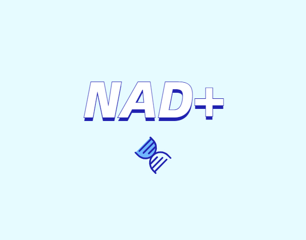 NAD與NMN的全新概念？