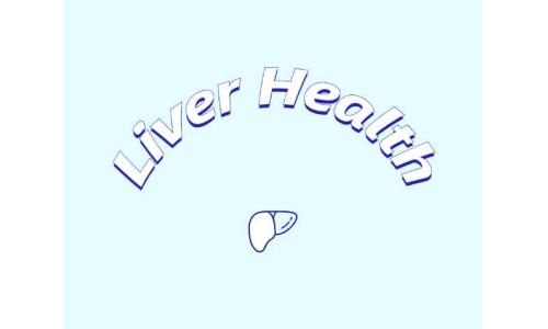 哪些原料可助力肝臟健康？